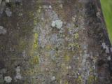 image of grave number 807829